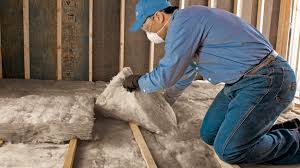 Best Blown-In Insulation  in Dundee, NY